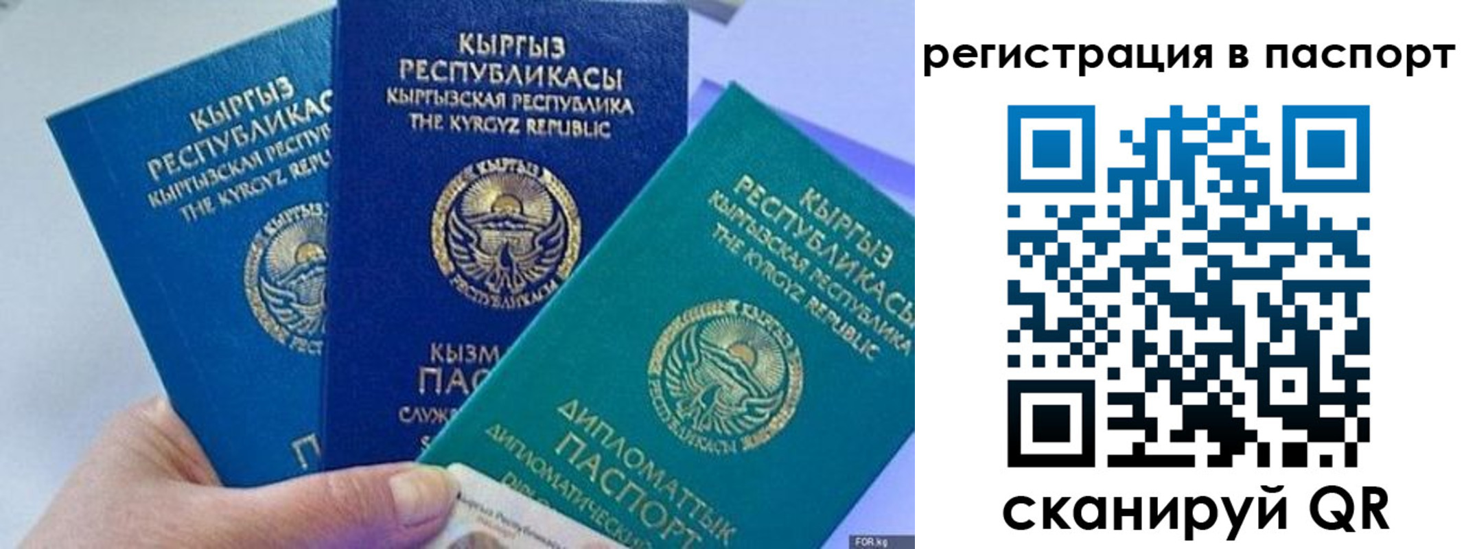 прописка 2025 в Невинномысске